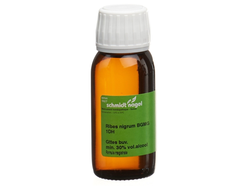 SCHMIDT-NAGEL ribes nigrum BG macérat glycériné 1 DH 60 ml