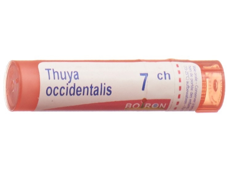 BOIRON Thuya occidentalis Gran CH 7 4 g